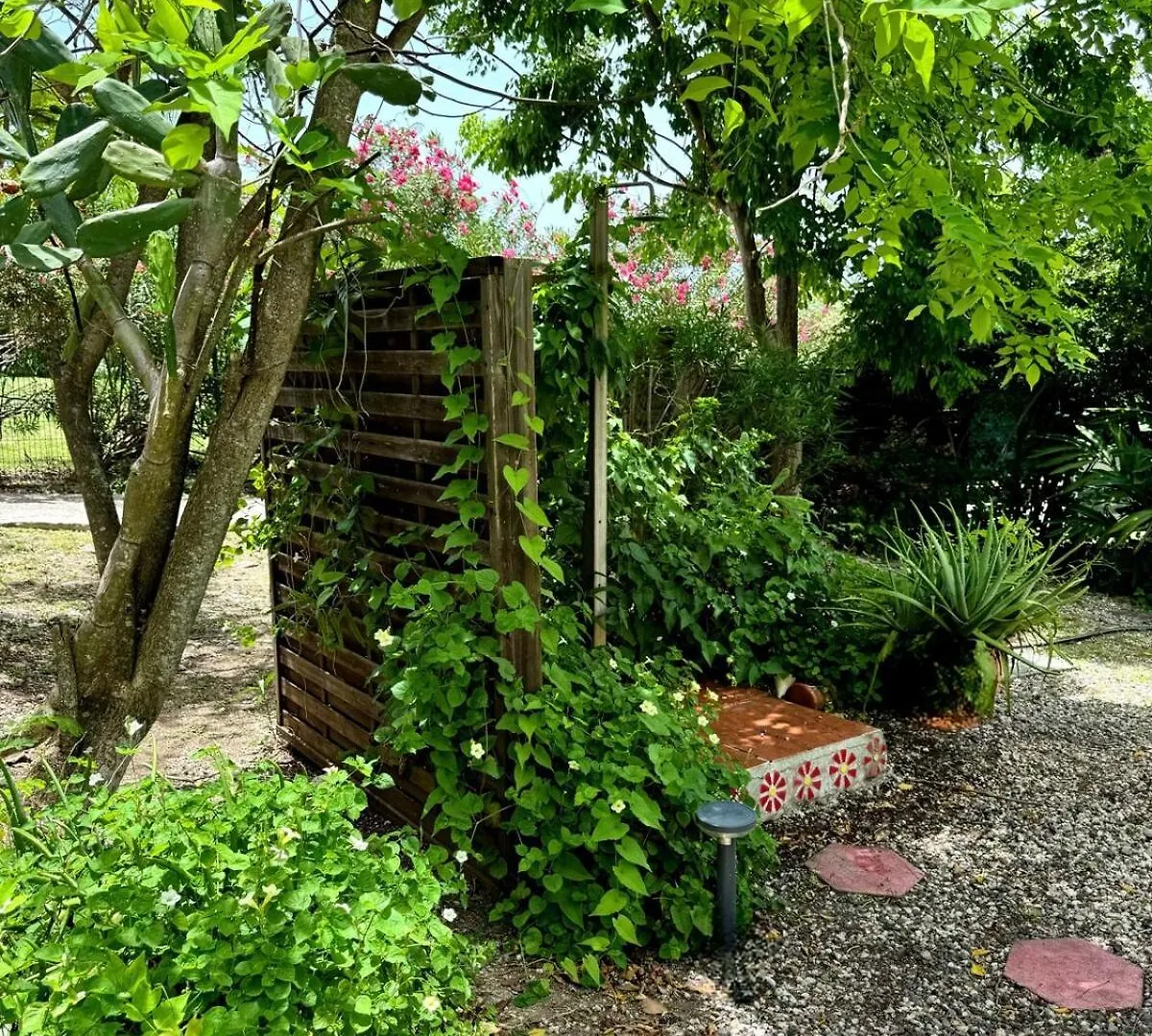 Hébergement de vacances Villa Les Bougainvilliers Capesterre